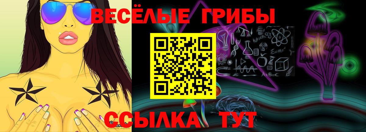 Псилоцибиновые грибы GOLDEN TEACHER Ярцево